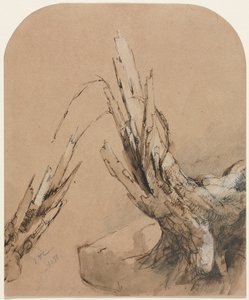Ein abgestorbener Baum, 1851 von Jasper Francis Cropsey