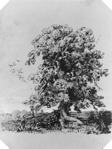 Landschaft mit Baum und einem Dorf in der Ferne (aus dem Cropsey-Album) von Jasper Francis Cropsey