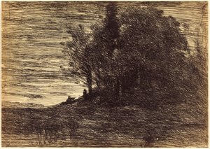 Der Wald des Einsiedlers