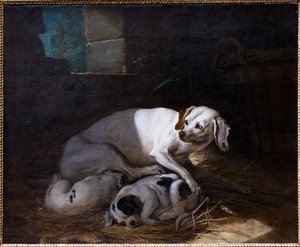 Hund, der ihre Jungen säugt von Jean-Baptiste Oudry