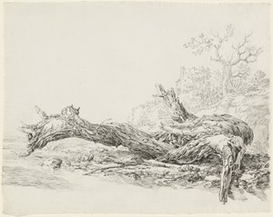 Ein umgestürzter alter Baum neben einem Bach