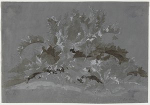 Studie von Unkraut von Jean Antoine Linck