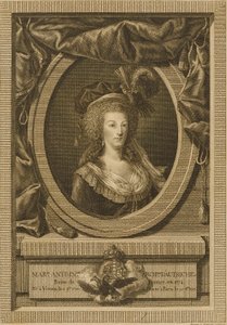 Marie Antoinette, Herzogin von Österreich von Jean Antoine Pierron