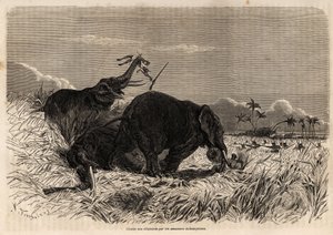 Die Elefantenjagd durch die Dahomey-Amazonen