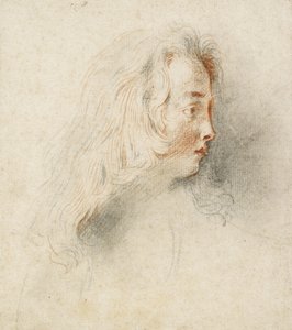 Kopf eines Jungen im Profil von Jean Antoine Watteau