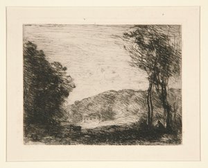 Bewaldete Landschaft