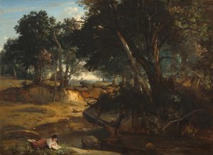 Wald von Fontainebleau von Jean Baptiste Camille Corot
