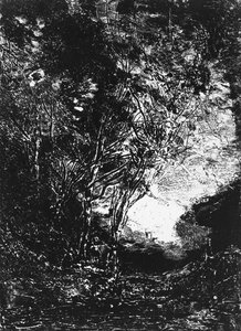 Der Hinterhalt, 1858