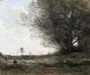 Die Buche von Jean Baptiste Camille Corot