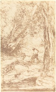 Der Holzfäller von Rembrandt