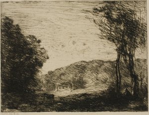 Bewaldete Landschaft