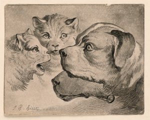 Köpfe von Katzen und Hunden
