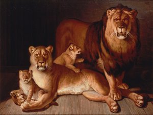Stolz der Löwen von Jean Baptiste Huet