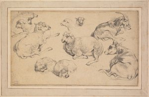 Blatt mit Studien von Schafen, Ziegen und Hunden von Jean Baptiste Marie Huet