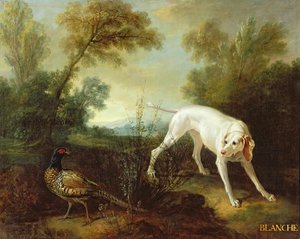 Blanche, Hündin des königlichen Jagdmeute von Jean Baptiste Oudry