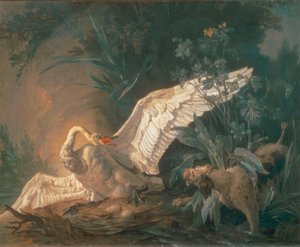 Barbet-Hund greift einen Schwan in seinem Nest an von Jean Baptiste Oudry