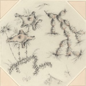 Bambusblumen und Kaktus