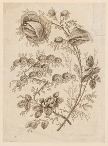 Blütenzweig, aus "Cahier de Fleurs Singuliers"