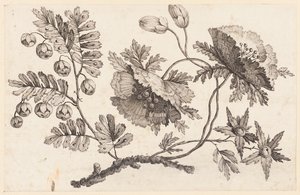 Blumenzweig, aus "Recueil de Fleurs Chinois"