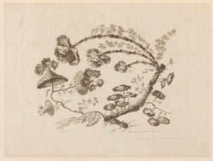 Blumenzweige, aus "Recueil de Differentes Fleurs de Fantaisie Dans le Goût Chinois" von Jean Baptiste Pillement