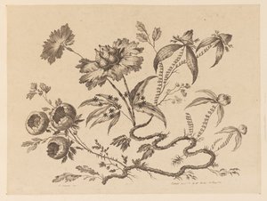 Blumenzweige, aus "Sammlung verschiedener Fantasieblumen im chinesischen Stil"