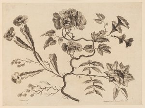 Blumenzweige, aus "Recueil de Differentes Fleurs de Fantaisie Dans le Goût Chinois"