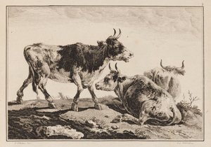 Platte 2, aus "Cahier de Six Feuilles de Boeufs et Vaches"