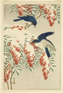 Fliegenfänger auf schneebedecktem Nandina (Farbholzschnitt) von Jean Baptiste Thonesse