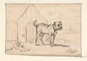 Angeleinter Hund, vor seiner Hütte stehend