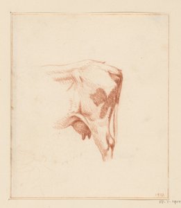 Hinterbeine einer Kuh von Jean Bernard