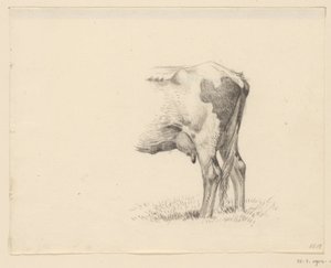 Hinterbeine einer Kuh von Jean Bernard