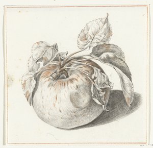 Apfel