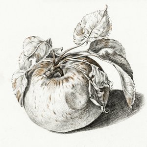 Apfel von Jean Bernard