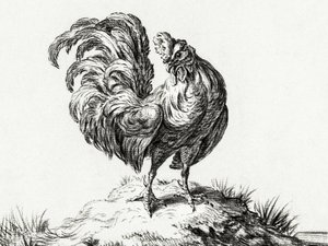 Huhn auf einem Hügel stehend von Jean Bernard