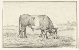 Weidender Stier auf einer Wiese, nach rechts von Jean Bernard