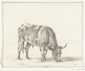 Weidender Stier, nach rechts von Jean Bernard