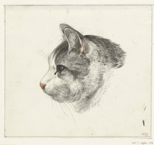 Kopf einer Katze, nach links