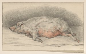 Liegendes Schwein, nach links