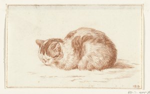 Liegende Katze, nach links