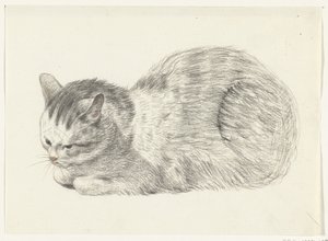 Liegende Katze, nach links von Jean Bernard