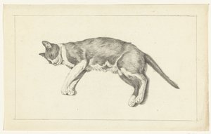 Liegende Katze, nach links, von oben gesehen