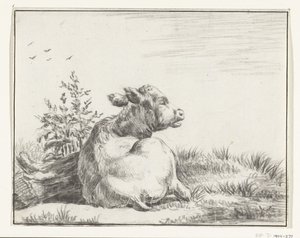 Liegende Kuh, von hinten von Jean Bernard
