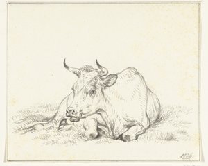 Liegende Kuh, von vorne von Jean Bernard