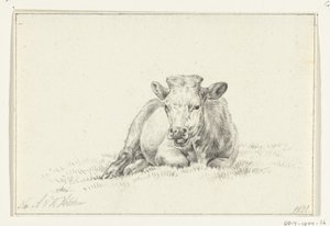 Liegende Kuh, von vorne von Jean Bernard