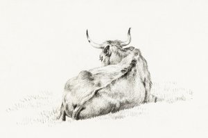 Liegende Kuh von Jean Bernard