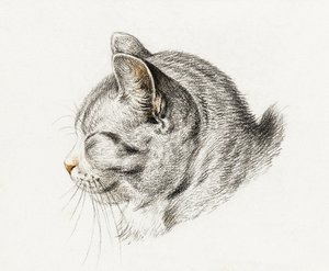 Skizze einer Katze (1813) von Jean Bernard