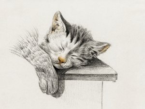 Skizze einer schlafenden Katze von Jean Bernard