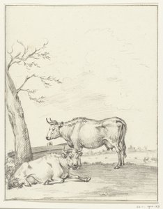 Stehende und liegende Kuh