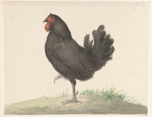 Stehendes schwarzes Huhn von Jean Bernard