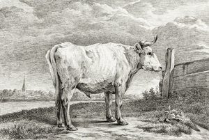 Stehender Stier (1817) von Jean Bernard